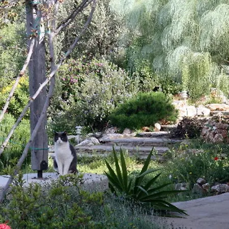 Country house To The Garden *