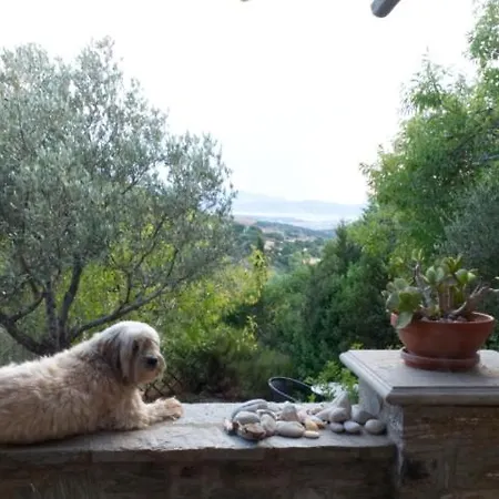 To The Garden * Aliki (Paros)