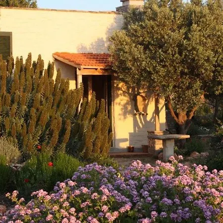 To The Garden *