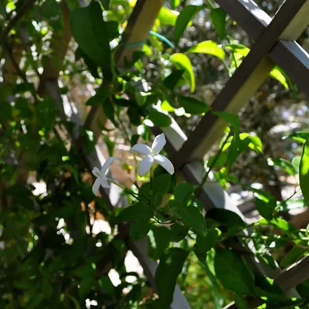 To The Garden Εξοχικό σπίτι