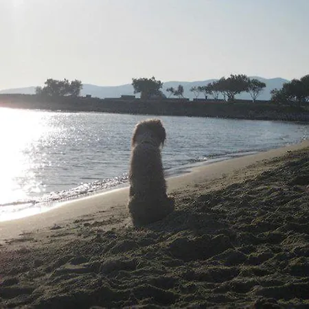 To The Garden * Aliki (Paros)