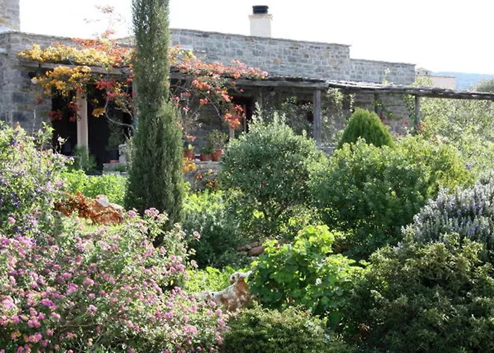 To The Garden Angairia