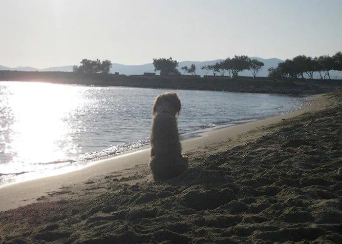 To The Garden * Angairia